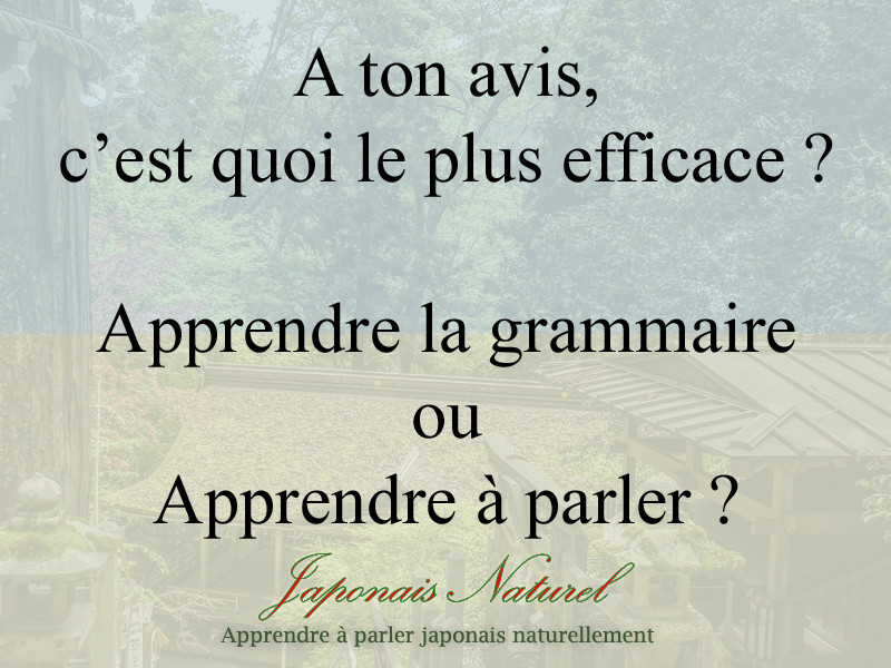 Le japonais en contexte est illustré par cette dernière infographie. Il est inscrit "A ton avis, c'est quoi le plus efficace ? Apprendre la grammaire ou apprendre à parler ?". Sous ce texte est inscrit "Japonais Naturel, apprendre à parler japonais naturellement".