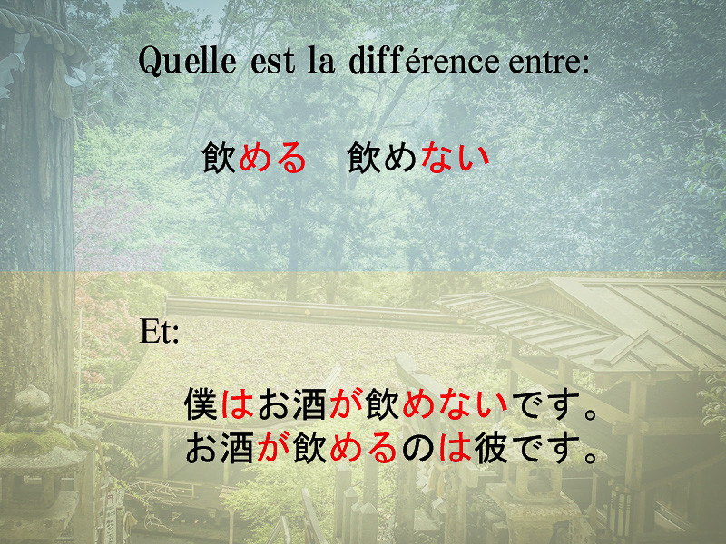 Le japonais en contexte est illustré par cette première infographie. Il est inscrit: "Quelle est différence entre 飲める (pouvoir boire) / 飲めない (ne pas pouvoir boire) et 僕はお酒が飲めないです。お酒が飲めるのは彼です。?".