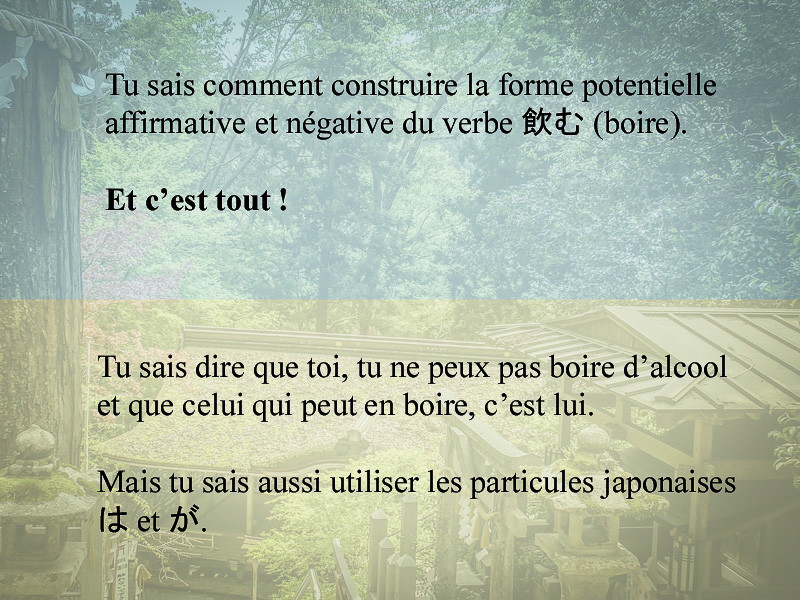 Le japonais en contexte est illustré par cette deuxième infographie. Il est inscrit en haut "tu sais comment construire la forme potentielle affirmative et négative du verbe 飲む (boire) et c'est tout. En bas est inscrit "Tu sais dire que toi, tu ne peux pas boire d'alcool et que celui qui peux en boire, c'est lui. Mais tu sais aussi utiliser les particules japonaises は et が.